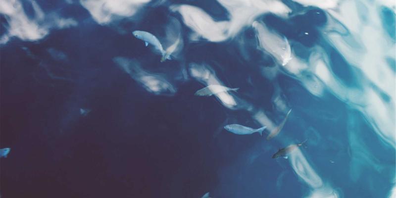 AI算法如何重塑招聘效率:深度解析得贤招聘的智能人岗匹配之道